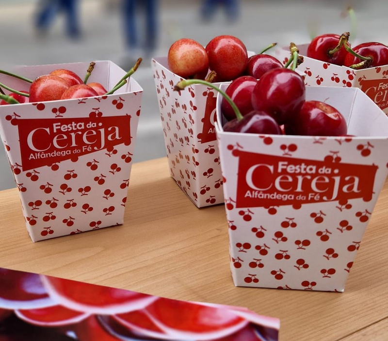 Produtores de Bragança esperam campanha de boa cereja e em grandes quantidades