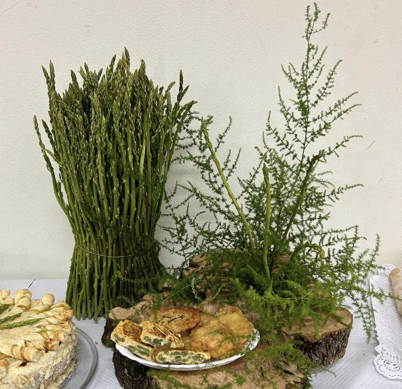 VI Festival de Espargos acontece no domingo em Santa Comba da Vilariça