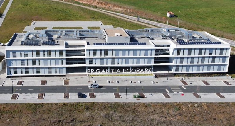 Laboratório de Bragança vai aproveitar mirtilos de refugo para criar corante e 'snacks'
