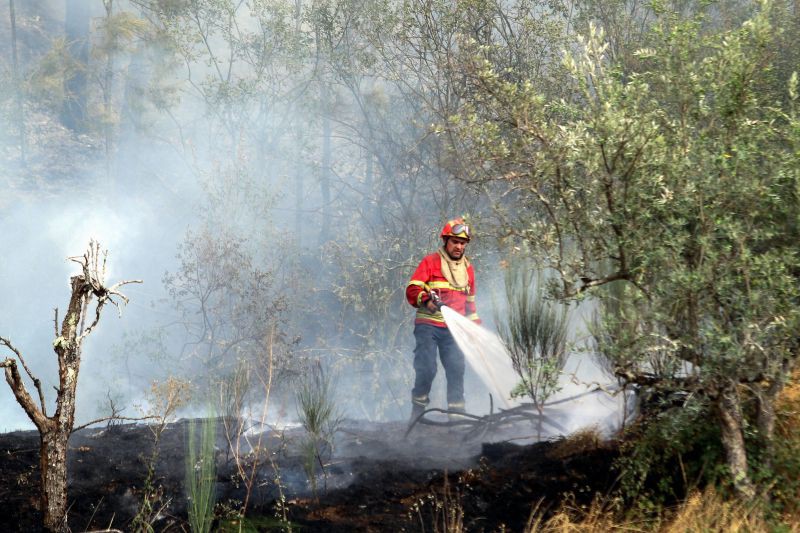 Mais de 90 operacionais combatem fogo em Mesão Frio