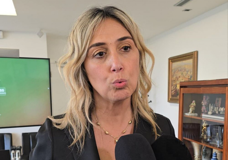Município de Bragança quer construir centro de recolha de animais