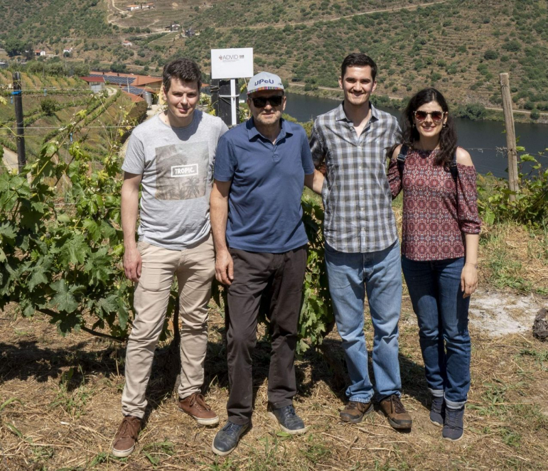 Leveduras do Douro podem criar vinhos mais distintos e autênticos