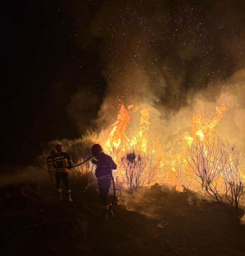 Estrada entre Cardanha e Gouveia cortada devido a incêndio no concelho de Alfândega da Fé