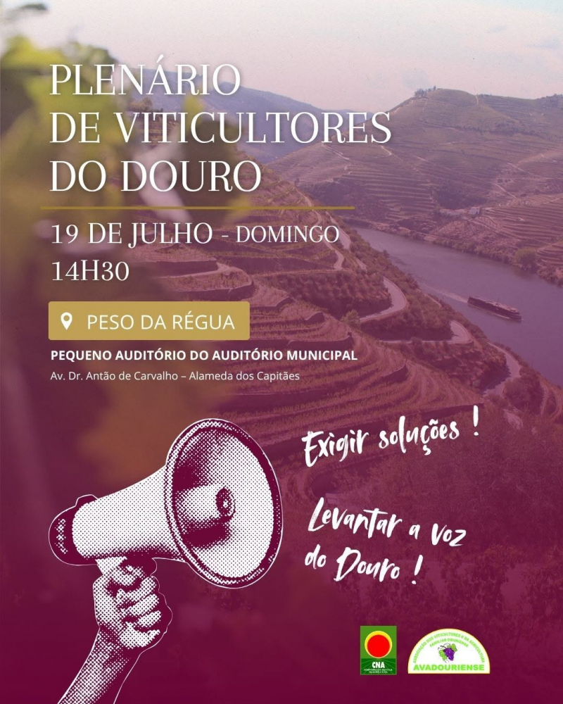 Plenário de viticultores do Douro debate preço das uvas, benefício e aguardente