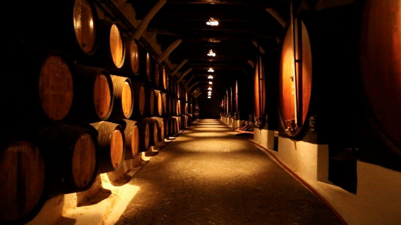 Douro prevê aumento de produção de vinho em ano marcado pela incerteza