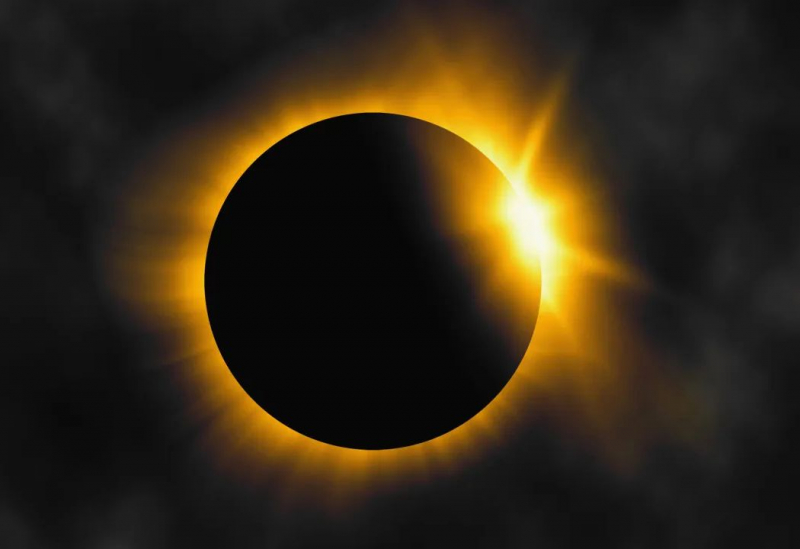 Politécnico de Bragança vai estudar comportamento dos animais durante eclipse solar