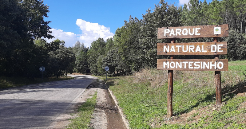 Parque de Montesinho com limitações de pessoas e de circulação no eclipse solar