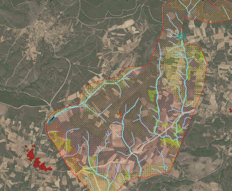 Central Eólica da Fronteira em Vimioso com 5.893 hectares de área de estudo