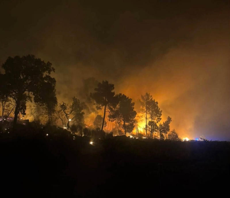 Fogo em Valpaços mobiliza mais de 400 operacionais e corta EN206