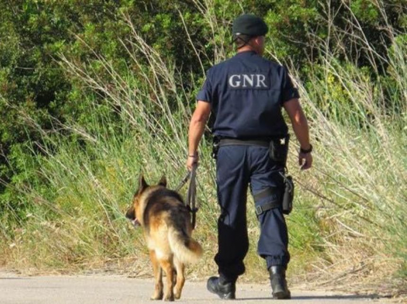 GNR procura idosa desaparecida em Carrazeda de Ansiães