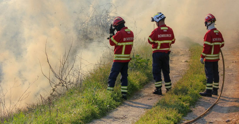 Quase 170 operacionais e oito meios aéreos combatem chamas em Carrazeda de Ansiães