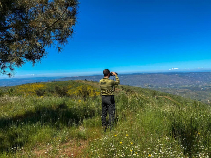 Idoso constituído arguido por fogo em Carrazeda de Ansiães