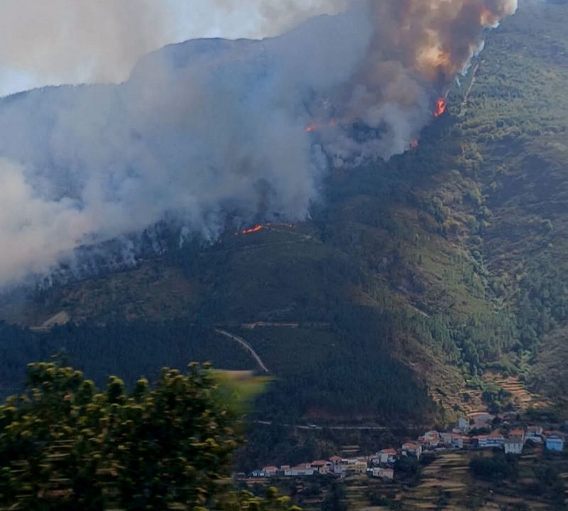 Número de operacionais no fogo de Santa Marta de Penaguião já ultrapassa os 200