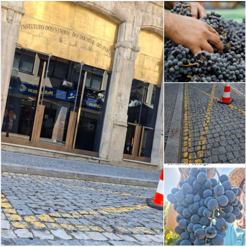 Uvas despejadas na rua na Régua num alerta simbólico para a crise no Douro