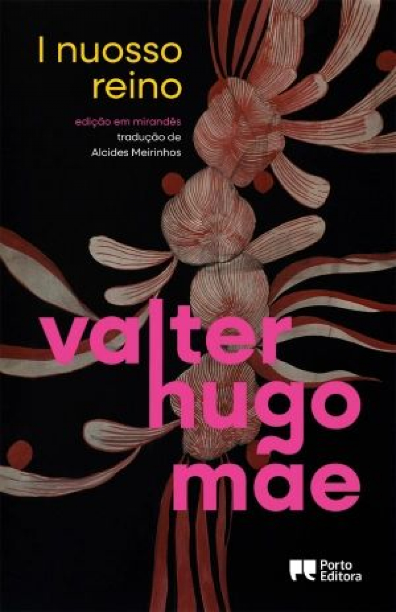 Romance de Valter Hugo Mãe “O Nosso Reino” ganha versão em mirandês