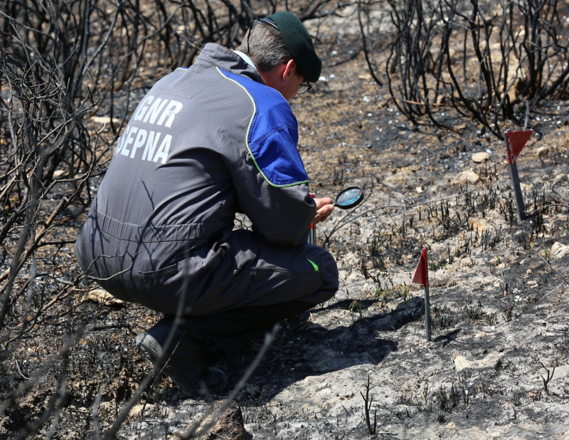Detido suspeito de provocar fogo com isqueiro em aldeia de Vinhais
