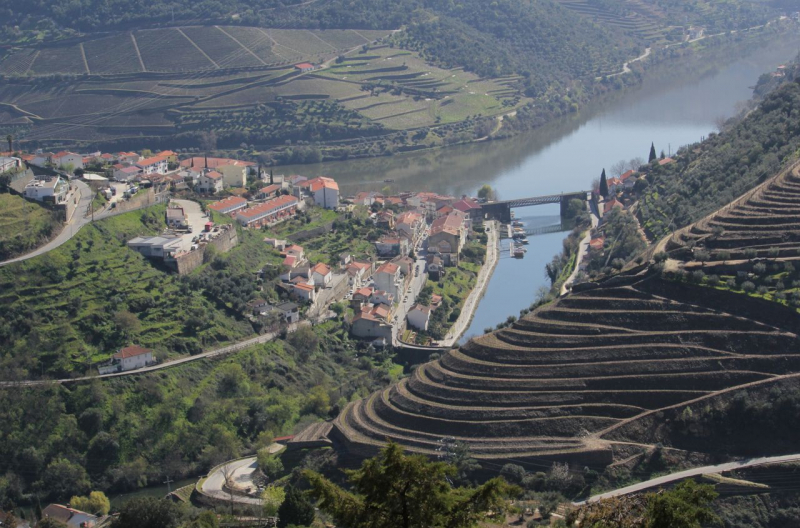 Sabrosa investe 2,7ME em via panorâmica e 18 miradouros para mostrar o Douro