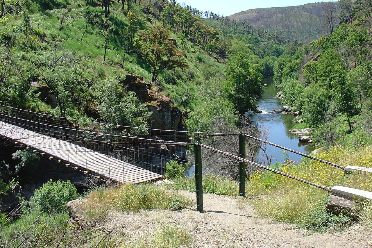 Autarcas contra alternativas para reposição da ponte de arame