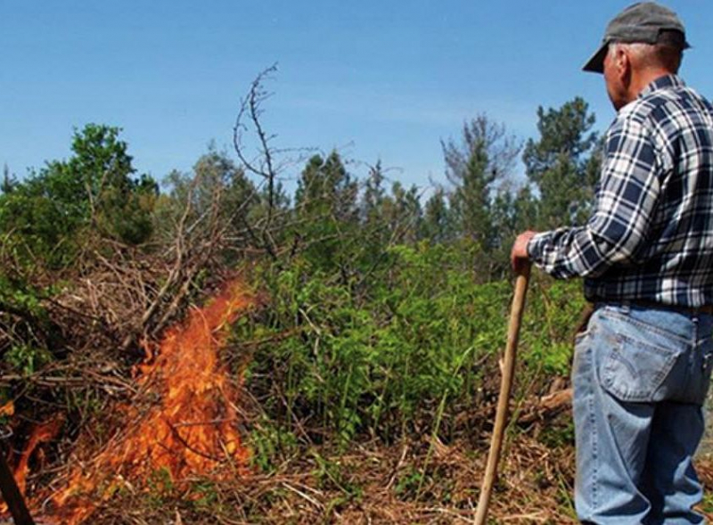 Trabalhos de limpeza são principal causa de fogos nas Terras de Trás-os-Montes