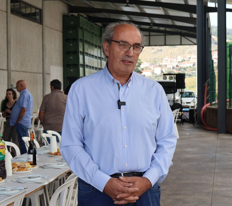 Adega do Douro Superior foi “tábua de salvação” para produtores vitícolas do território