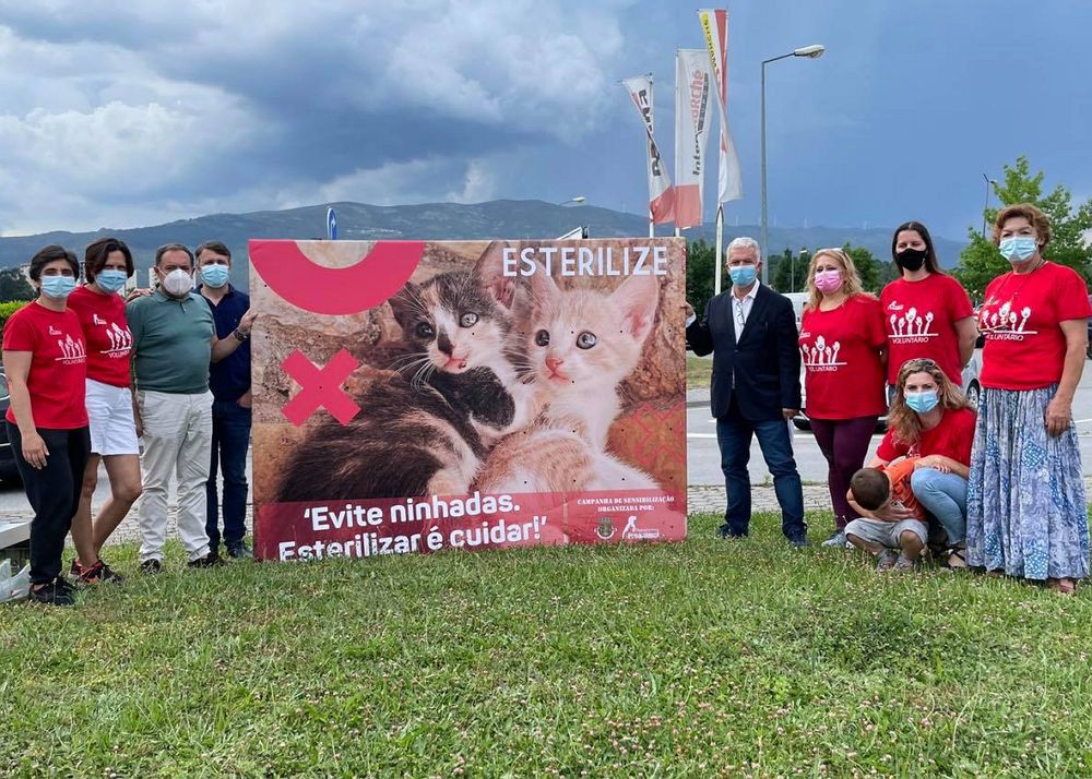 Campanha sensibiliza contra o abandono de animais em Vila Real