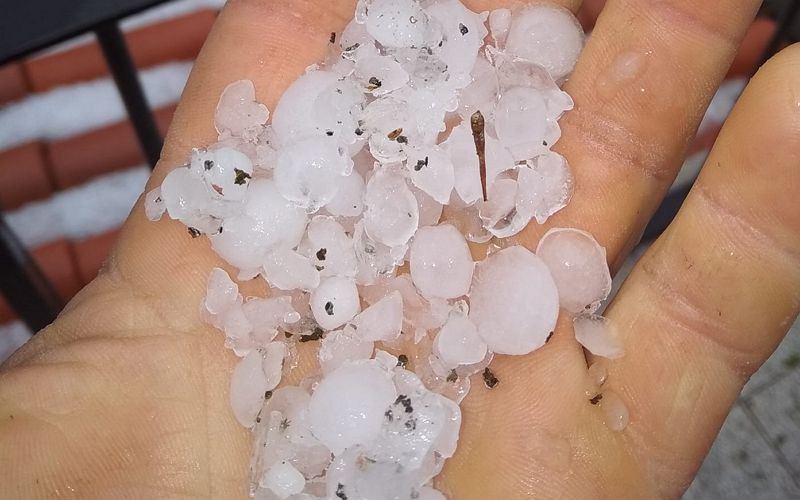 Granizo volta a provocar estragos em vinhas de Vila Real