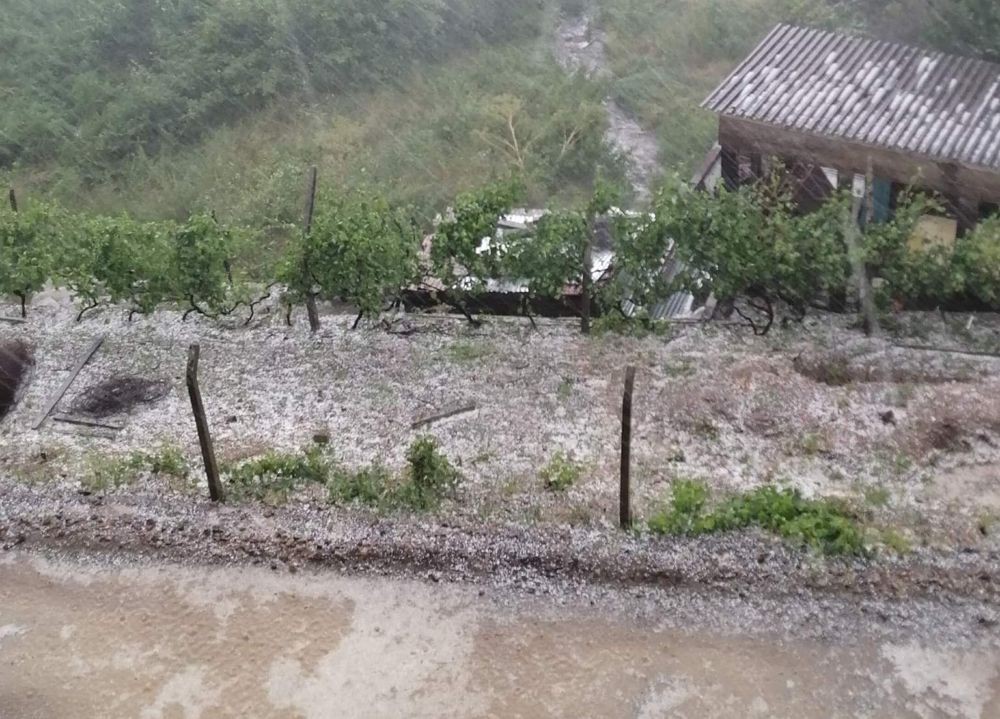 Chuva intensa e granizo causam inundações e quedas de árvore em Vila Real