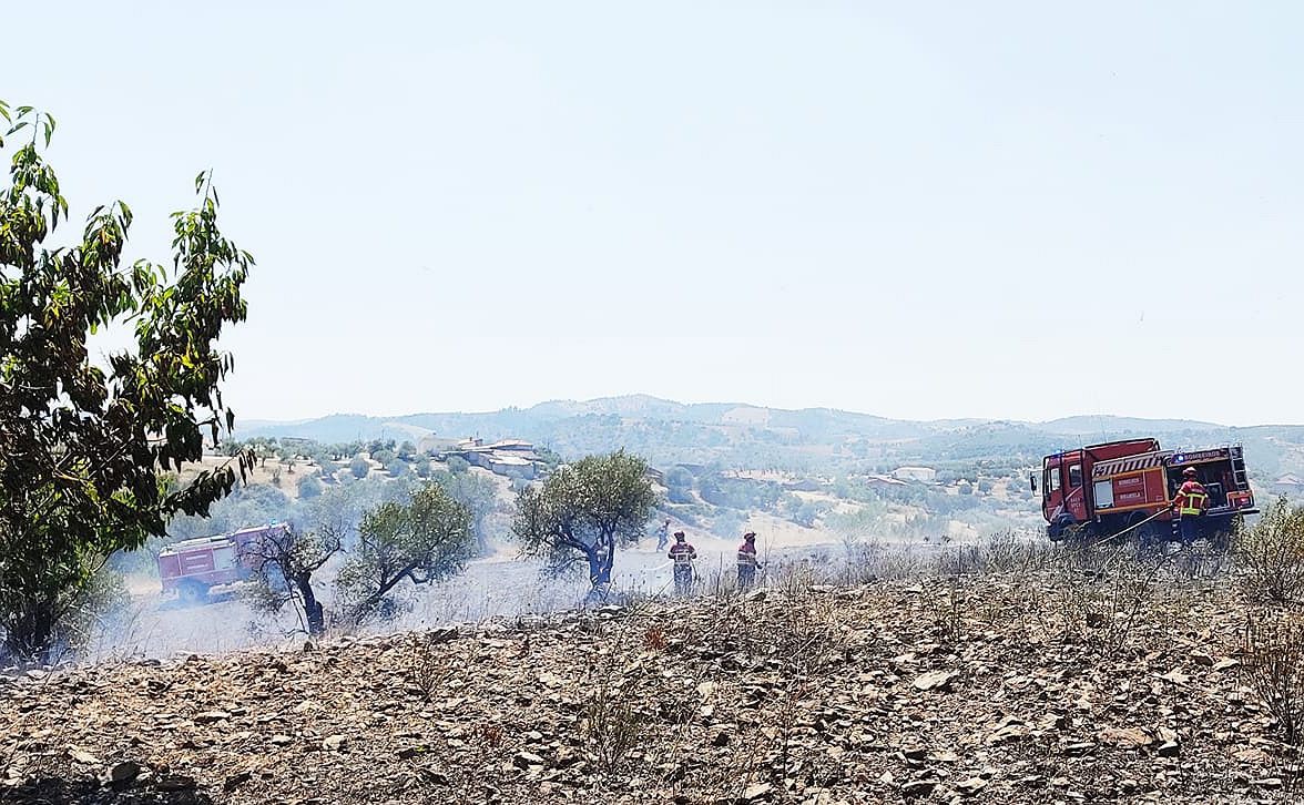 Miranda do Douro considera plano contra incêndios como "estruturante e integrado"