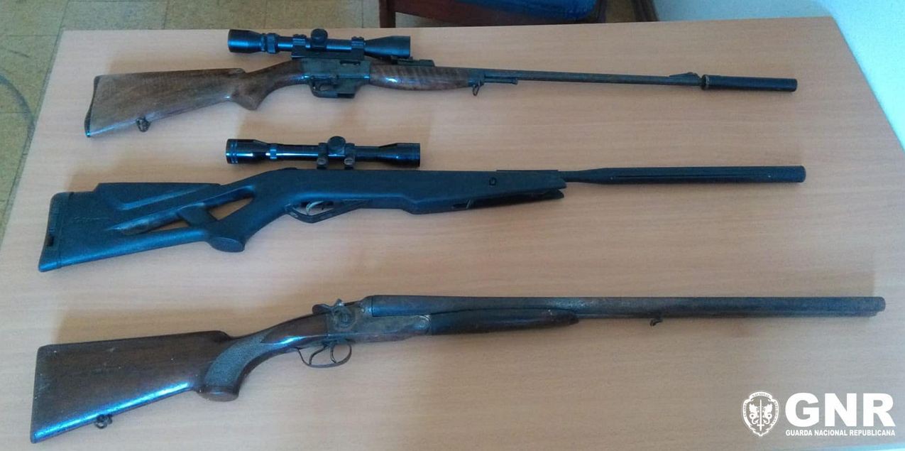 GNR apreende três armas em investigação por caça ilegal em Alijó