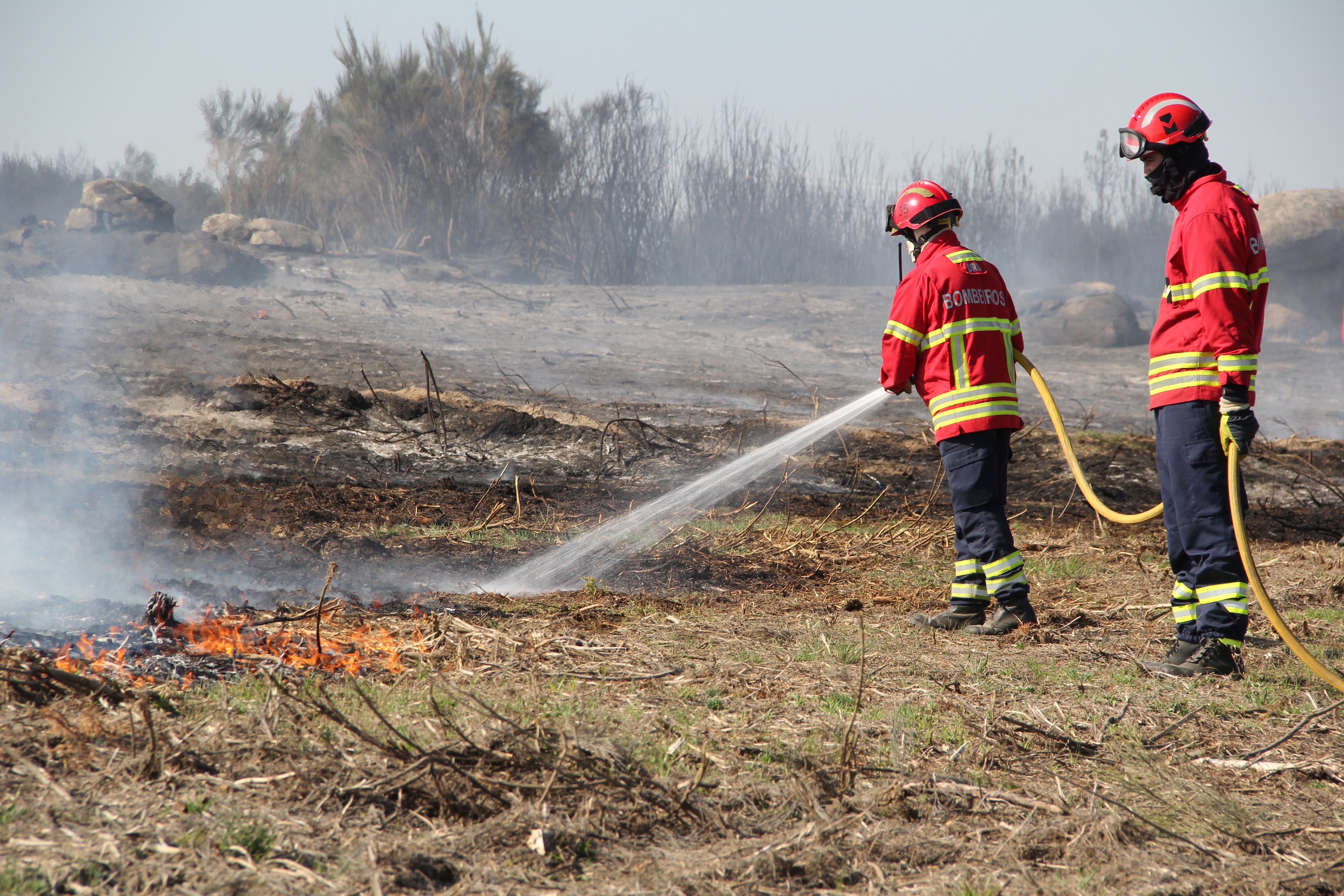 Mulher identificada por incêndio florestal