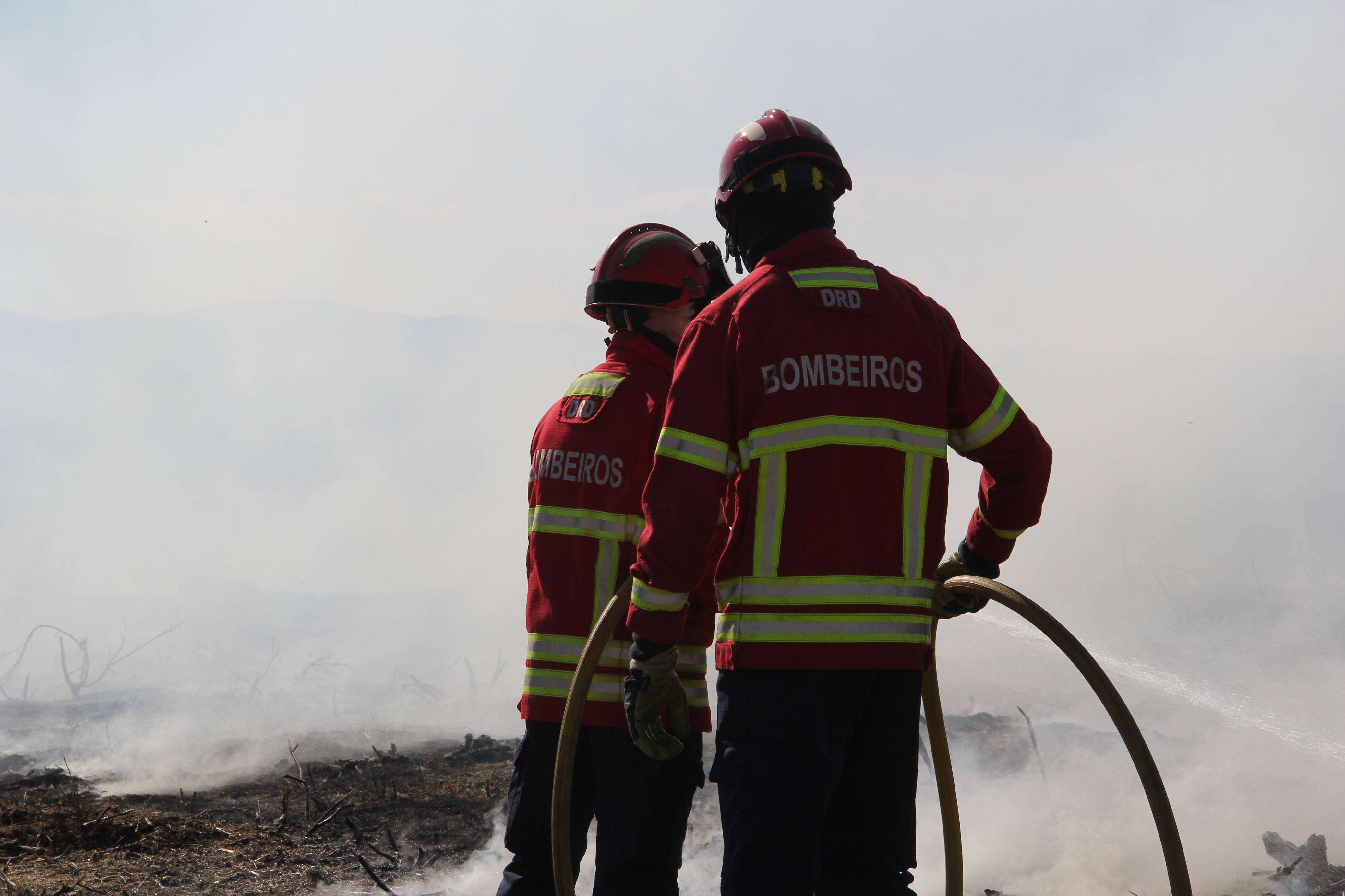 Dois suspeitos de incêndio florestal identificados pela GNR