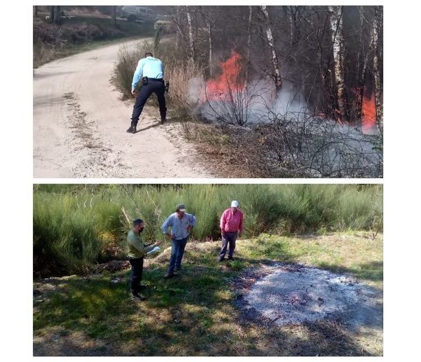 GNR deteve mulher de 79 anos por incêndio florestal