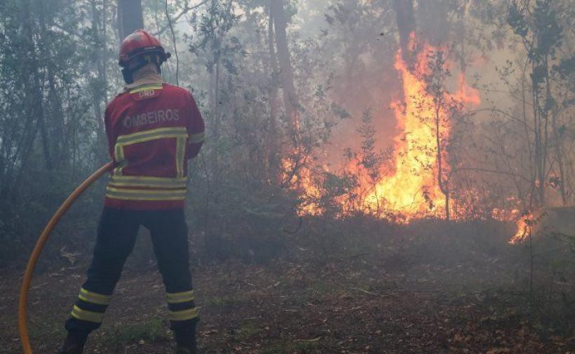 GNR identifica homem por queima que se descontrolou em Vila Real