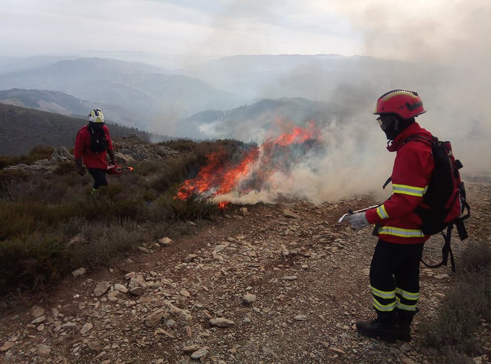 Vila Real faz prevenção e renova pastagens com ações de fogo controlado