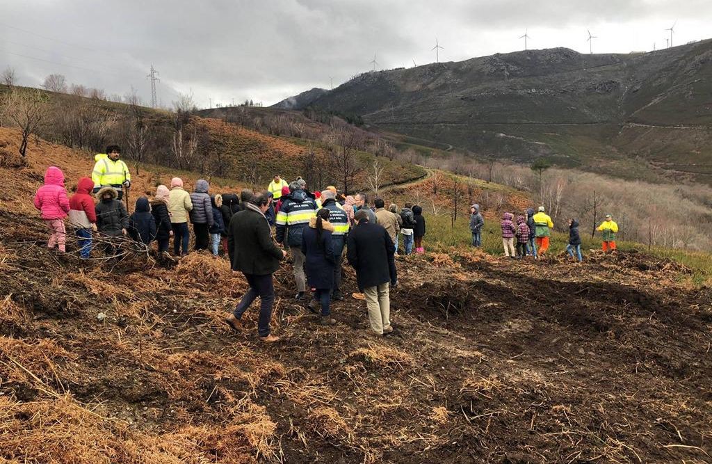 Vila Real planta 5.000 árvores e reabilita área afetada pelos incêndios