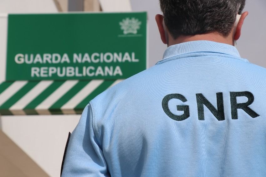 GNR identifica 14 homens a treinar cães e conviver na rua em Chaves