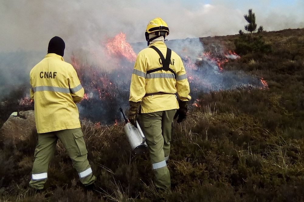 ICNF aposta nas redes primárias para travar fogos na região Norte