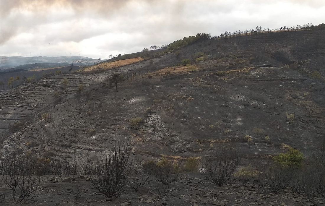 Governo aprova apoios de 200 ME destinadas aos municípios afetados pelos incêndios