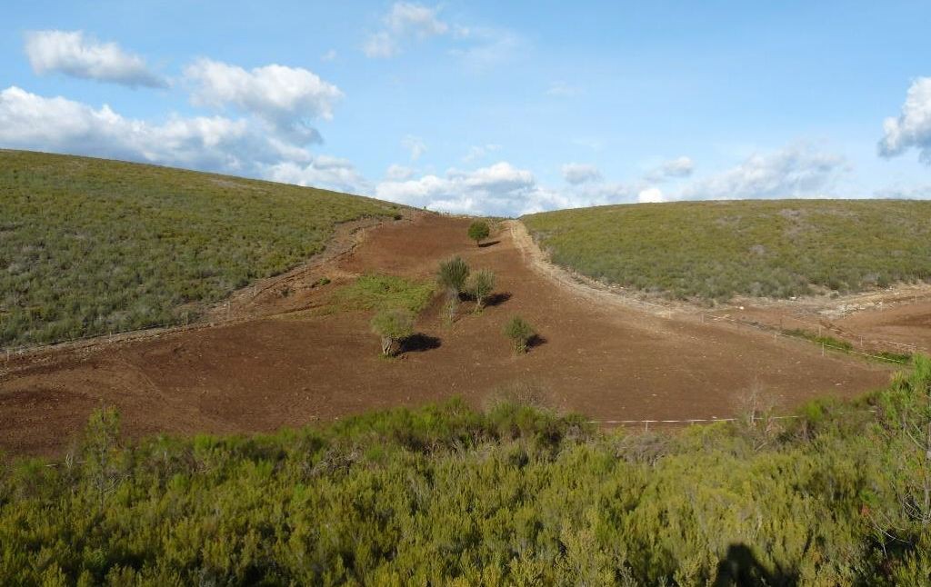 Mais de 1,3 ME para prevenção e conservação no Parque Natural de Montesinho