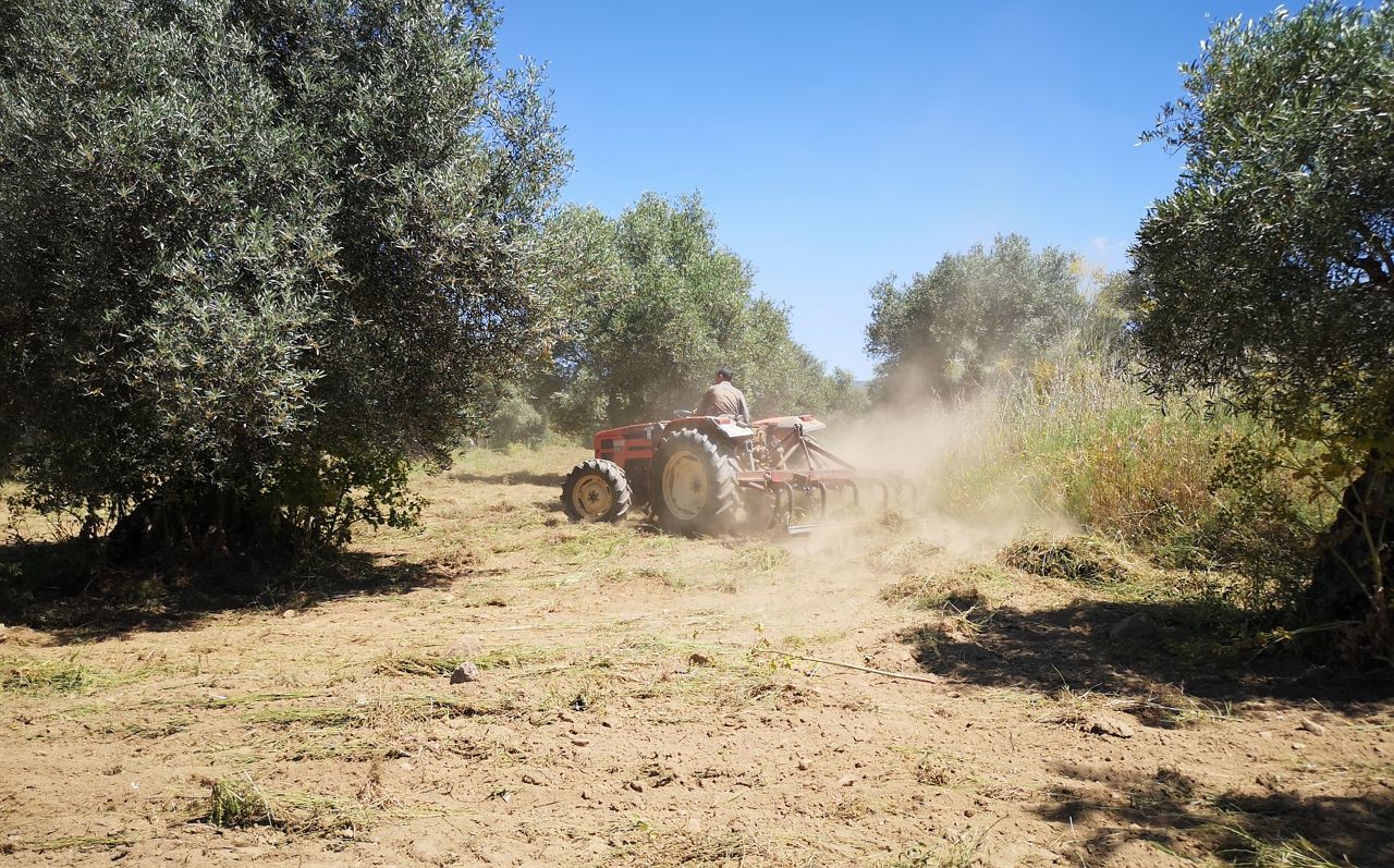 Os agricultores querem a manutenção dos apoios à produção integrada