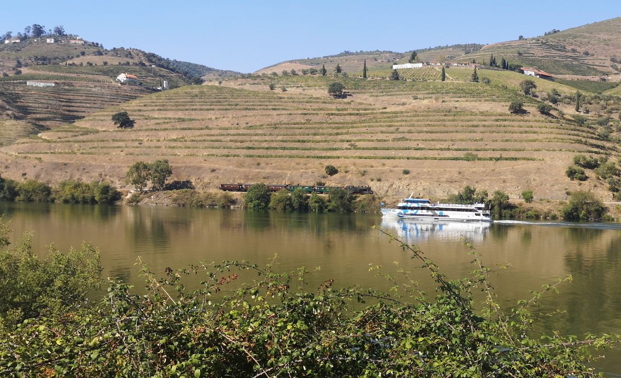 Via Navegável do Douro com menos 78% de passageiros em 2020