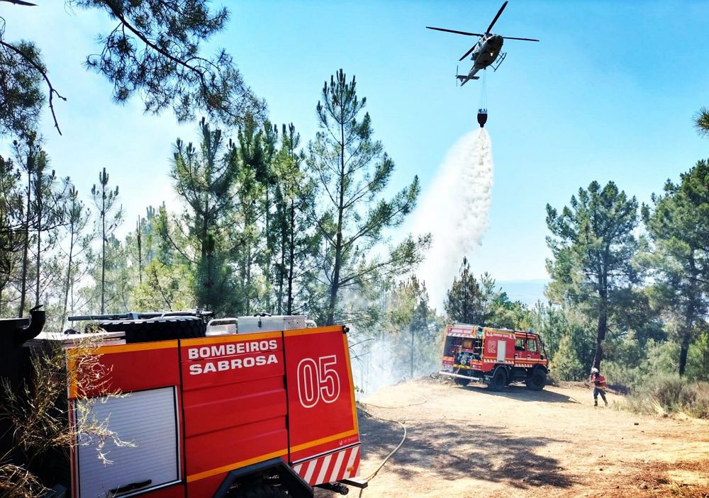 Cem bombeiros e 5 meios aéreos combatem fogo que deflagrou em Sabrosa