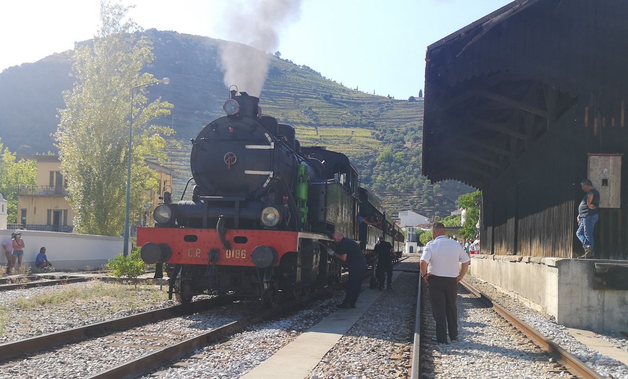 CP prolonga campanha do Comboio Histórico do Douro devido à procura