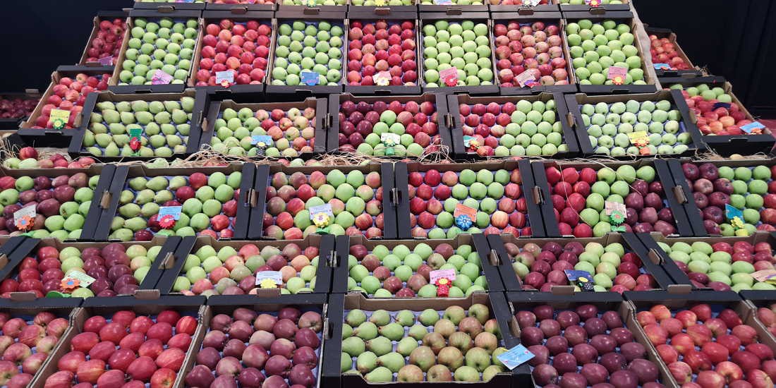 Carrazeda de Ansiães prevê quebras de mais de 70% na produção de maçã