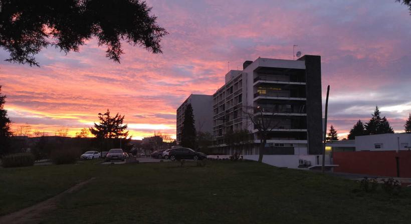 Hospital de Bragança sem TAC indispensável para urgências como vítimas de AVC