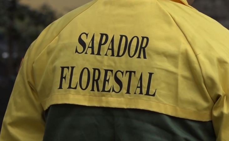Detido sapador florestal suspeito de matar homem em Mondim de Basto