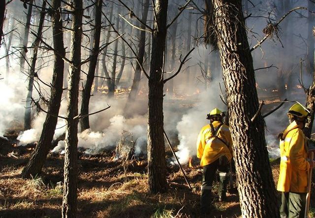 Gestão de Fogos Rurais vai ter curso de Pós-Graduação na UTAD