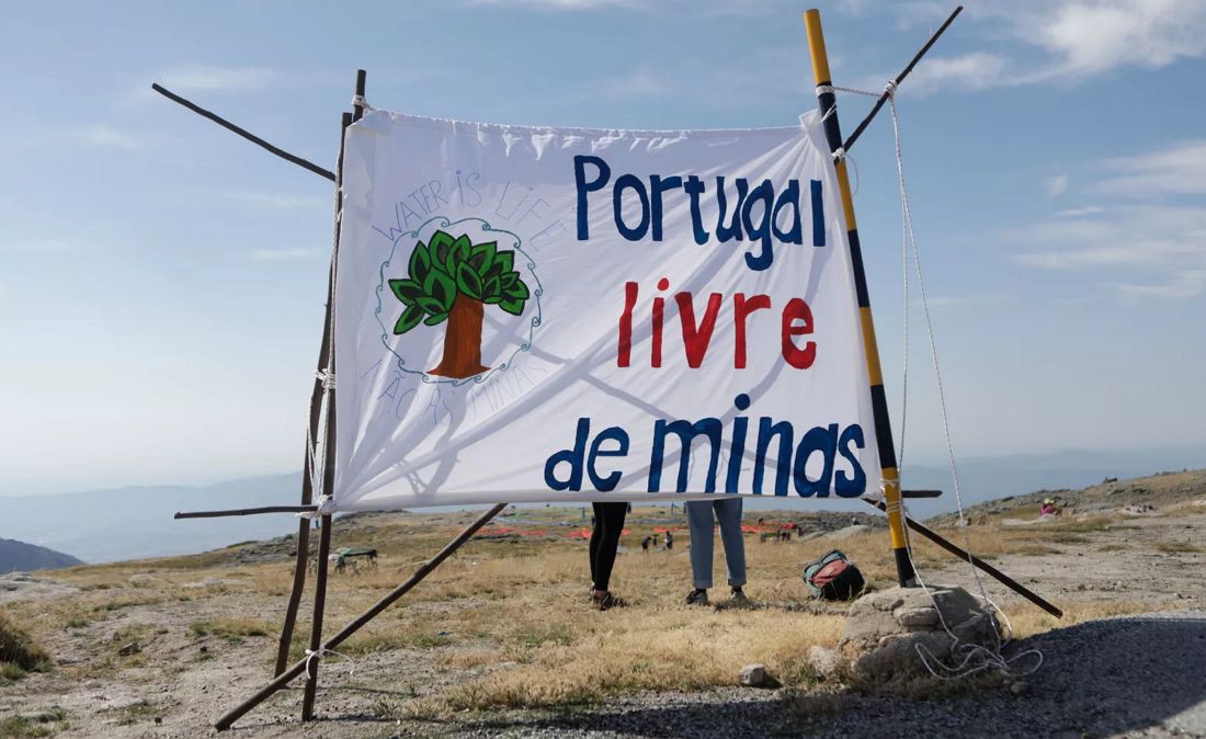 Opositores à mina de lítio em Montalegre plantaram árvores nos furos de prospeção