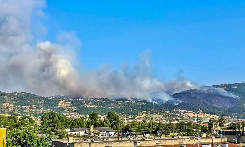 Autarca de Chaves suspeita de "intencionalidade" em fogo de Vilar de Nantes