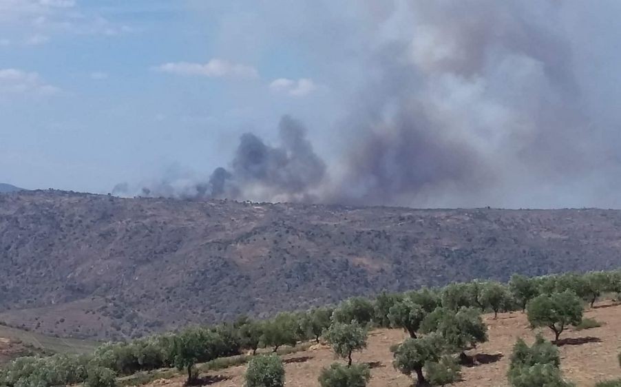 Chamas cercam aldeia de Estevais em Torre de Moncorvo